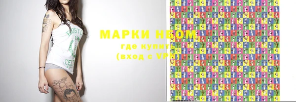 дживик Надым