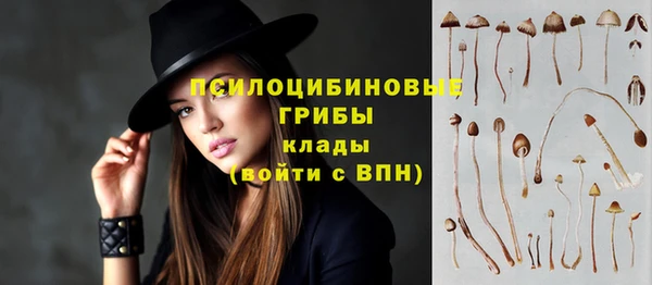 твердый Нефтегорск