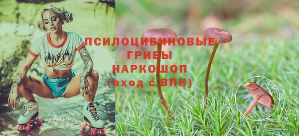 mdpv Нефтекумск