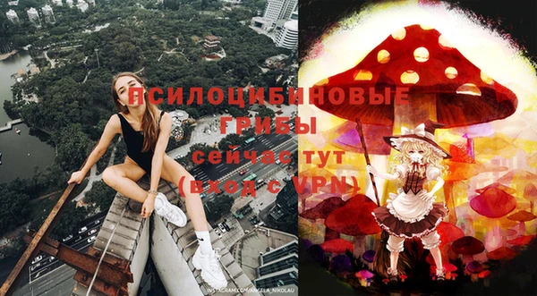 твердый Нефтегорск