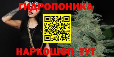 крисы Жуковский