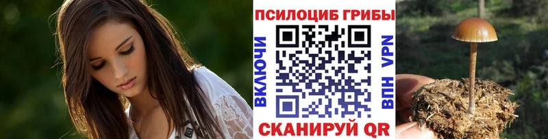 Псилоцибиновые грибы GOLDEN TEACHER  даркнет сайт  Южно-Сахалинск 